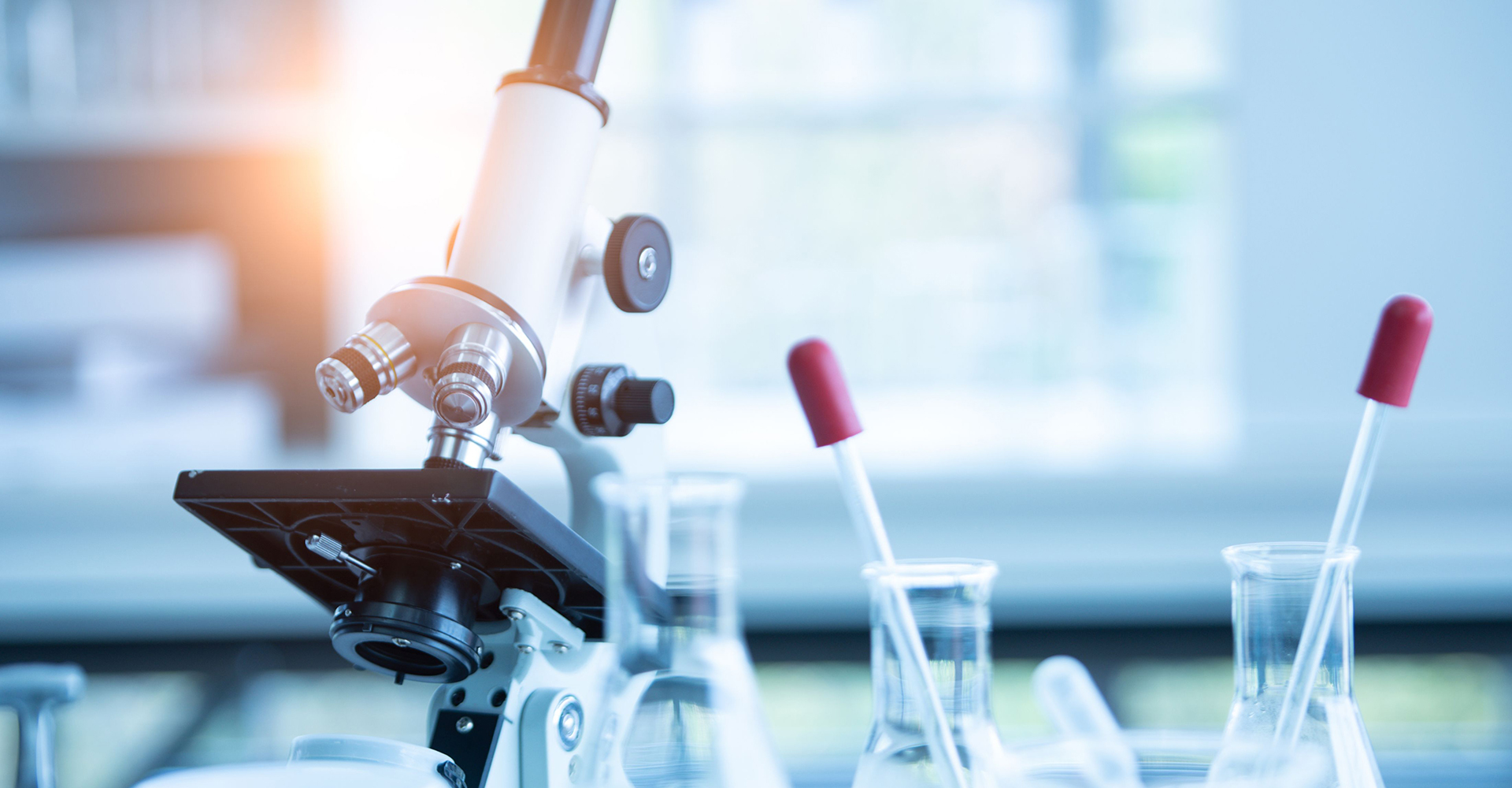 A Step-by-Step Guide to Getting Started with Laboratory Services