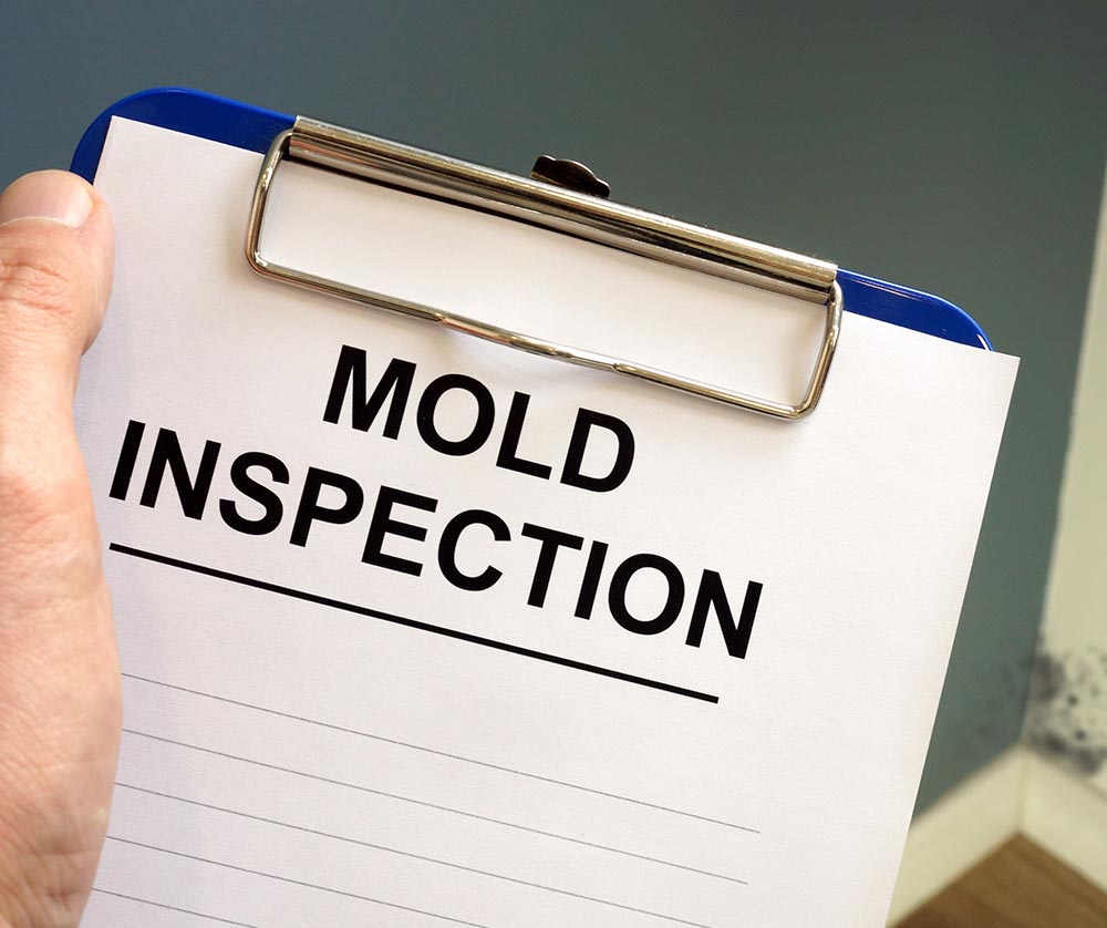 mold inspection
