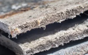 building materials being tested for asbestos in Portland OR