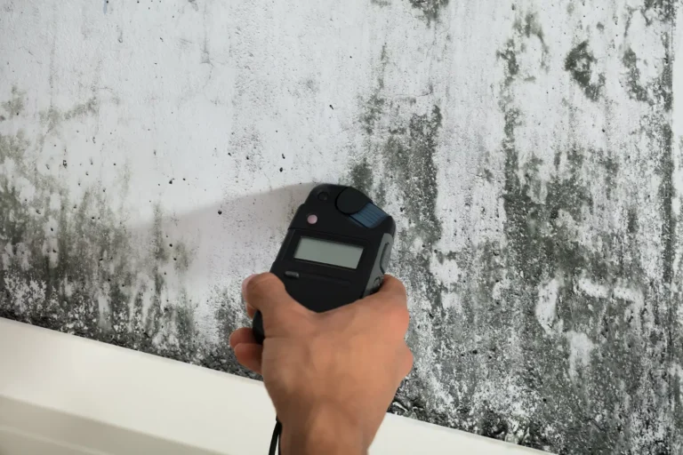 someone testing mold on a molded wall