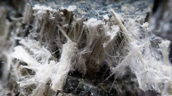 Closeup of Asbestos Fibers.