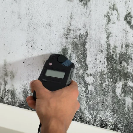 Close-up shot of a hand holding a handheld electronic detector against a white wall showing severe dark gray mold growth.